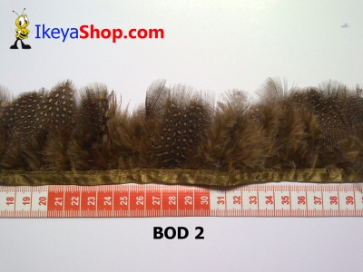 bulu owl polkadot BOD 2   feather  large2
